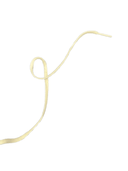 Shoelace